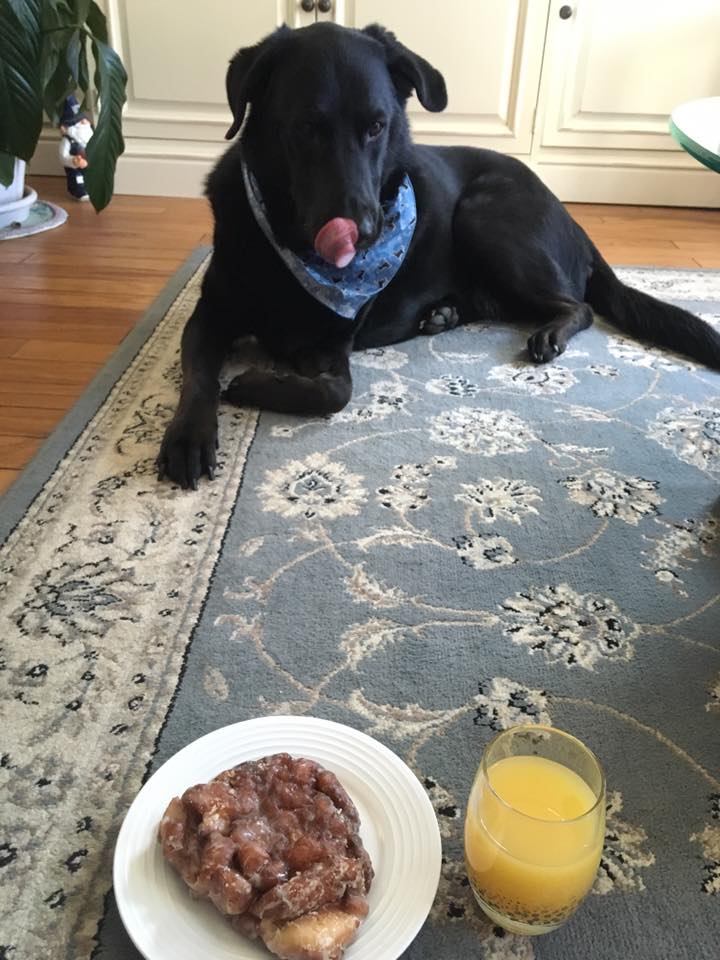 10325282_10206852765612695_4229678403518651229_n